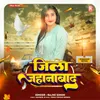 About Jila Jahanbad Song